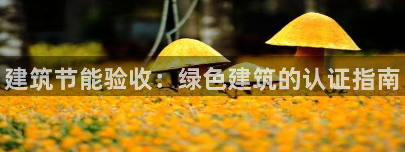 e尊国际官网app