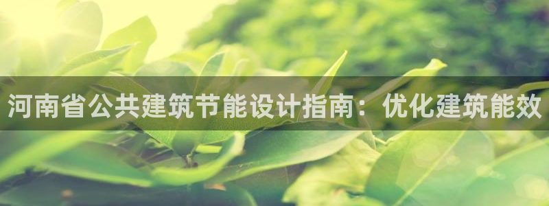 E尊国际：河南省公共建筑节能设计指南：优化建筑能效