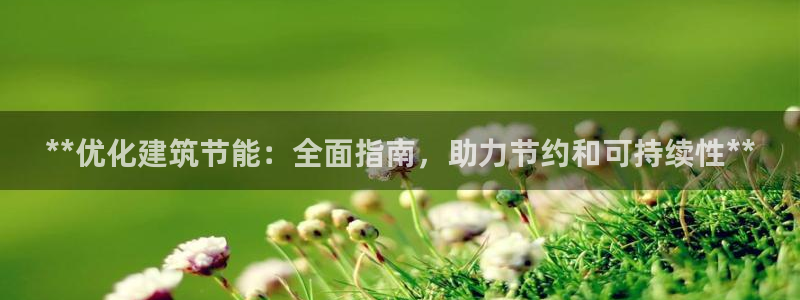 e尊平台：**优化建筑节能：全面指南，助力节约和可持续性**