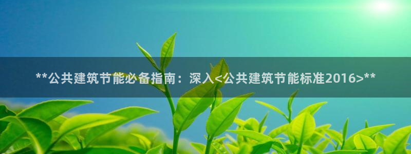 e尊国际app：**公共建筑节能必备指南：深入<公共建筑节能标准2016>**