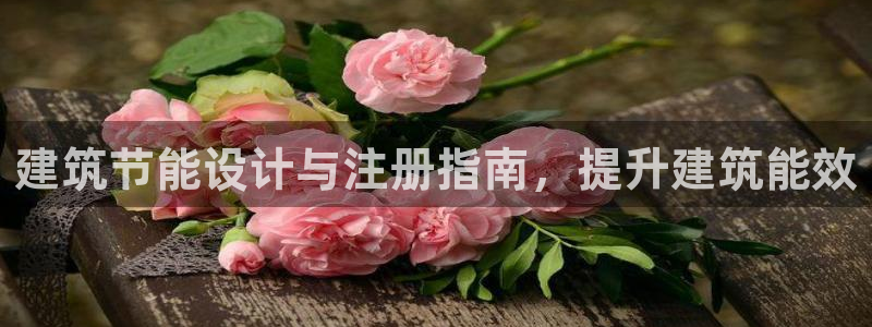 e尊国际地址：建筑节能设计与注册指南，提升建筑能效