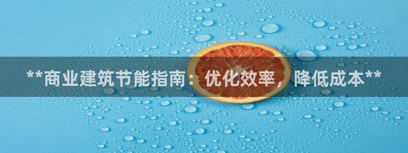 E尊国际网站：**商业建筑节能指南：优化效率，降低成本**