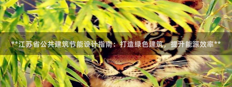 e尊国际平台