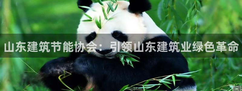尊亿娱乐国际官网：山东建筑节能协会：引领山东建筑业绿色革命