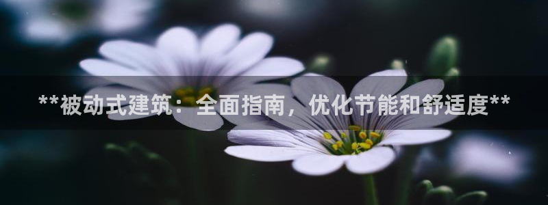 e尊国际7779：**被动式建筑：全面指南，优化节能和舒适度**