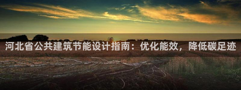 e尊国际官网：河北省公共建筑节能设计指南：优化能效，降低碳足迹