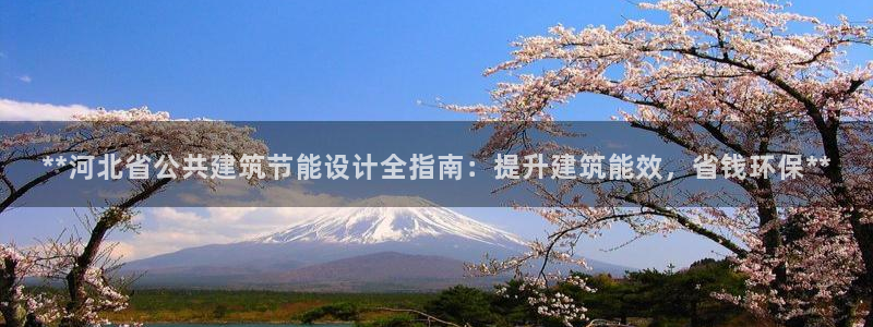 e尊国际平台：**河北省公共建筑节能设计全指南：提升建筑能效，省钱环保**