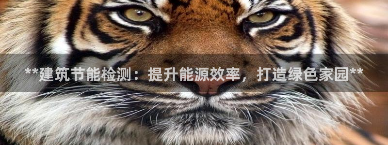 谁知道e尊国际的网址：**建筑节能检测：提升能源效率，打造绿色家园**