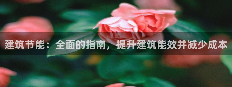 e尊国际官网：建筑节能：全面的指南，提升建筑能效并减少成本