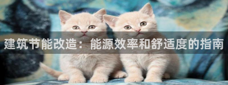 e尊国际-可可计划：建筑节能改造：能源效率和舒适度的指南