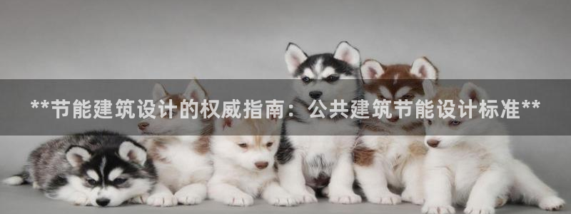 e尊国际娱乐官网地址：**节能建筑设计的权威指南：公共建筑节能设计标准**