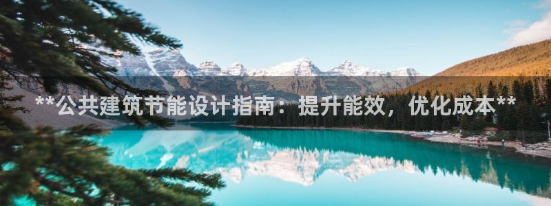 e尊国际客户端：**公共建筑节能设计指南：提升能效，优化成本**