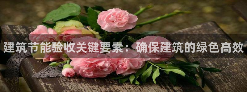 e尊国际-e尊国际官网