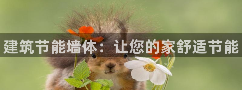e尊体育