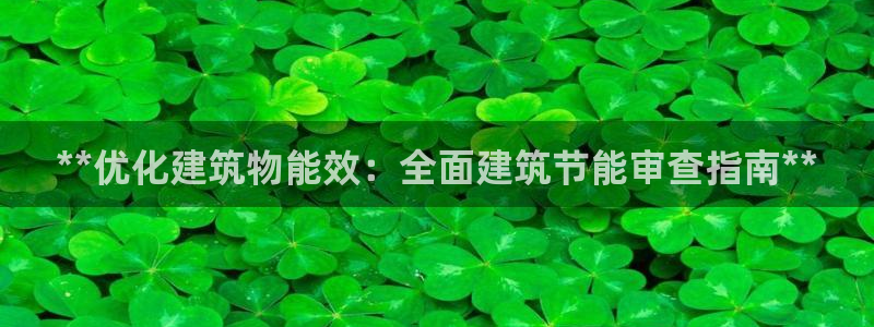 e尊国际网址：**优化建筑物能效：全面建筑节能审查指南**