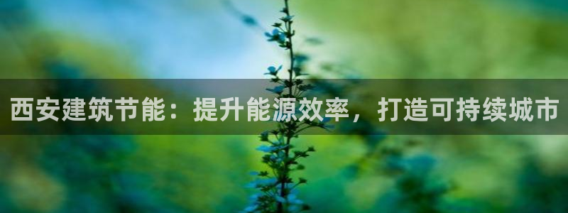 e尊国际是个黑网：西安建筑节能：提升能源效率，打造可持续城市
