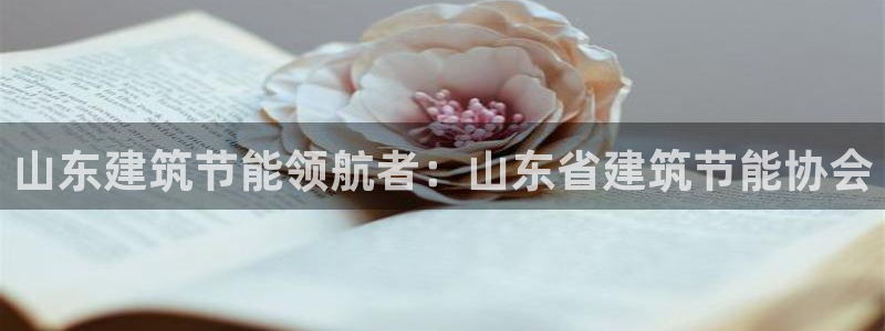 e尊国际地址：山东建筑节能领航者：山东省建筑节能协会