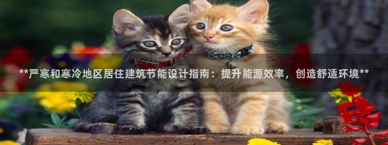 e尊国际客户端：**严寒和寒冷地区居住建筑节能设计指南：提升能源效率，创造舒适环境**