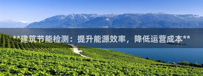 e尊国际官网app：**建筑节能检测：提升能源效率，降低运营成本**