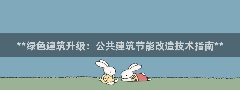 E尊国际：**绿色建筑升级：公共建筑节能改造技术指南**
