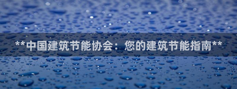 尊亿游戏国际官网：**中国建筑节能协会：您的建筑节能指南**