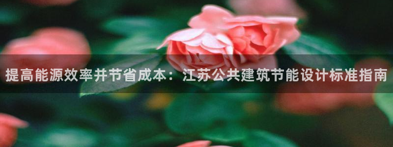 e尊国际是干什么的：提高能源效率并节省成本：江苏公共建筑节能设计标准指南