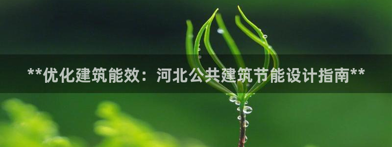 e尊国际平台：**优化建筑能效：河北公共建筑节能设计指南**