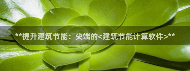 e尊国际app