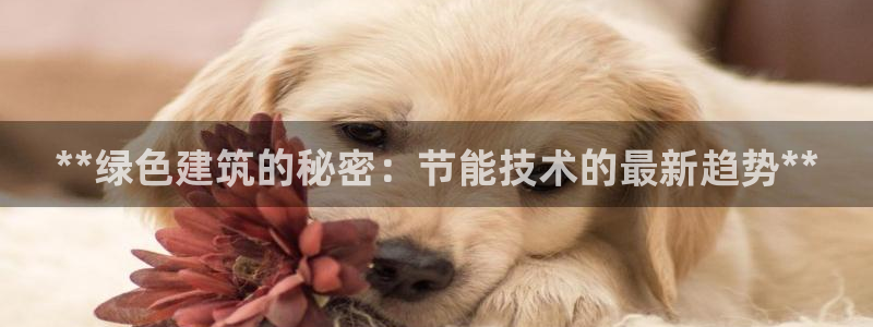 谁知道e尊国际的网址：**绿色建筑的秘密：节能技术的最新趋势**