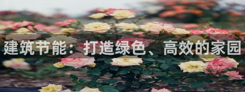 尊亿游戏国际官网：建筑节能：打造绿色、高效的家园