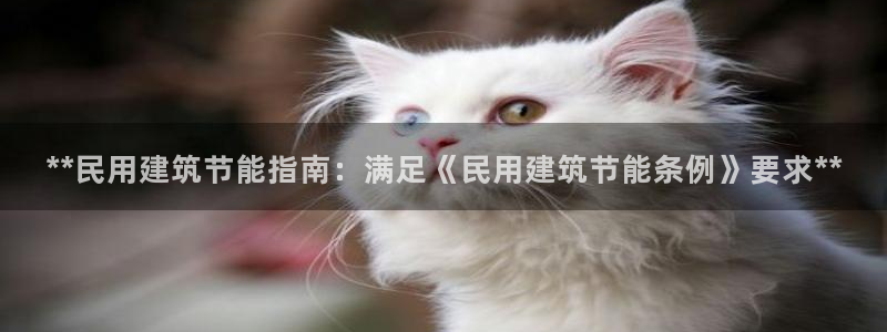e尊国际可靠吗：**民用建筑节能指南：满足《民用建筑节能条例》要求**