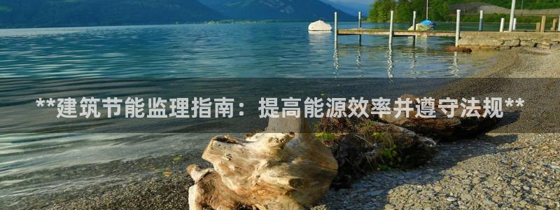 e尊国际客户端下载：**建筑节能监理指南：提高能源效率并遵守法规**