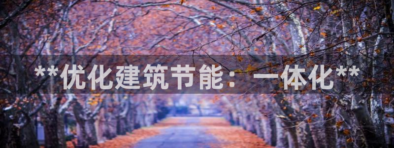 尊亿游戏国际官网：**优化建筑节能：一体化**