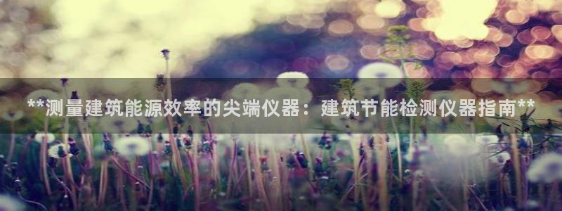 e尊电竞：**测量建筑能源效率的尖端仪器：建筑节能检测仪器指南**