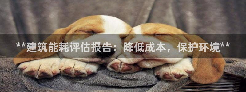 e尊国际娱乐官网地址：**建筑能耗评估报告：降低成本，保护环境**
