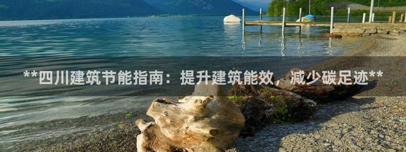 e尊国际娱乐官网地址：**四川建筑节能指南：提升建筑能效，减少碳足迹**