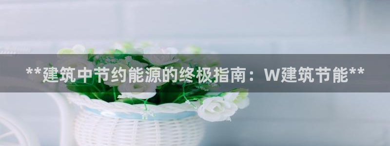 e尊国际娱乐官网下载：**建筑中节约能源的终极指南：W建筑节能**