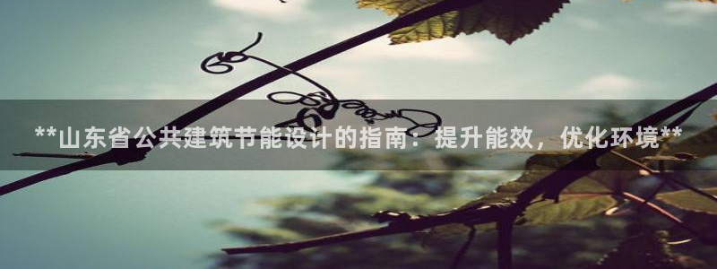 e尊国际7779：**山东省公共建筑节能设计的指南：提升能效，优化环境**