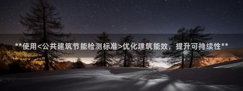 尊亿游戏国际官网：**使用<公共建筑节能检测标准>优化建筑能效，提升可持续性**
