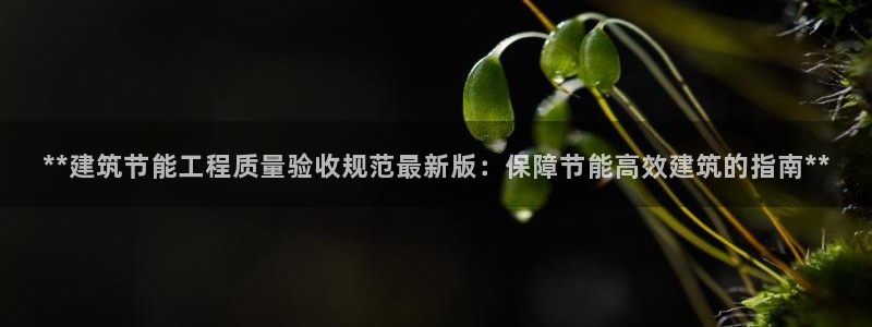 e尊国际app：**建筑节能工程质量验收规范最新版：保障节能高效建筑的指南**