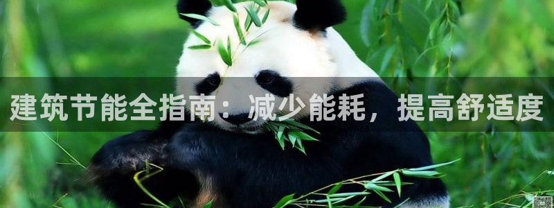 e尊国际app：建筑节能全指南：减少能耗，提高舒适度