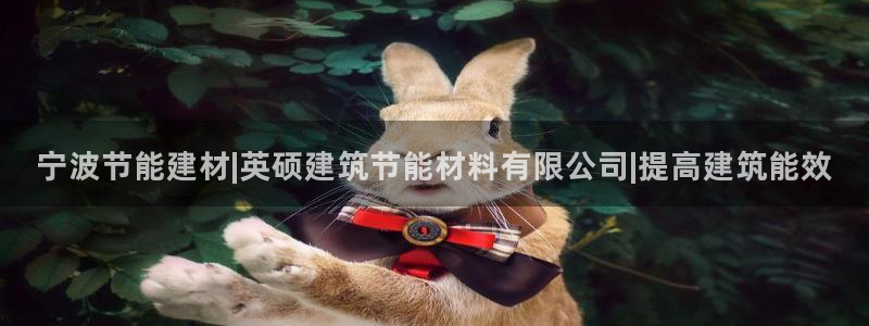 e尊国际娱乐官网下载：宁波节能建材|英硕建筑节能材料有限公司|提高建筑能效