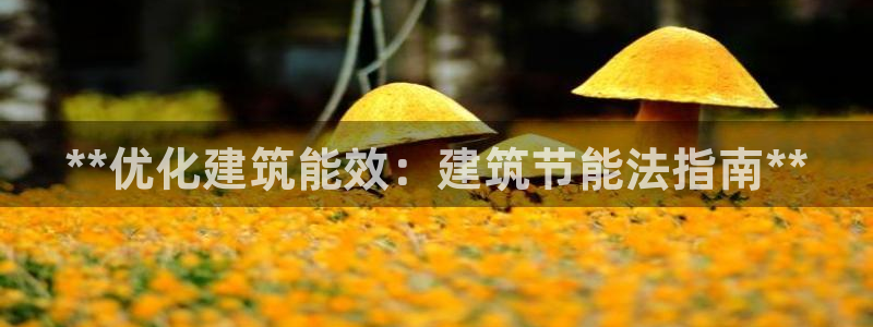 e尊国际是个黑网：**优化建筑能效：建筑节能法指南**