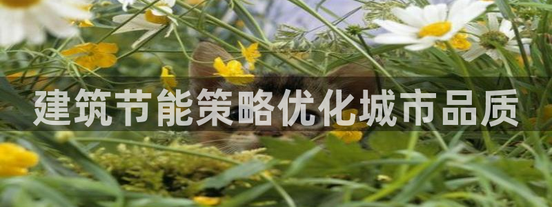 尊亿游戏国际官网：建筑节能策略优化城市品质