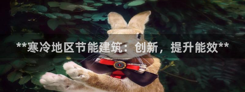 e尊国际客户端：**寒冷地区节能建筑：创新，提升能效**