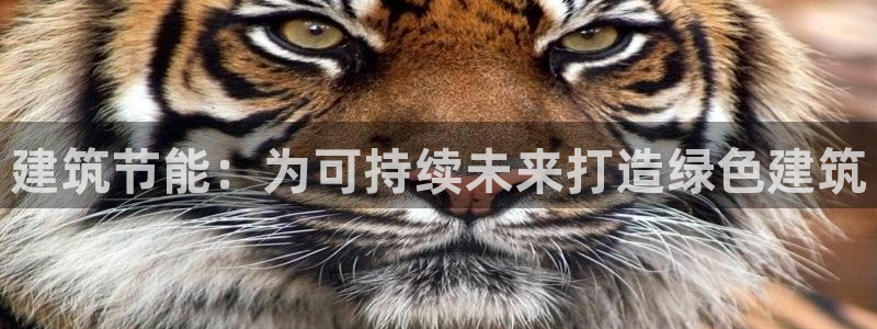 e尊国际娱乐官网地址：建筑节能：为可持续未来打造绿色建筑