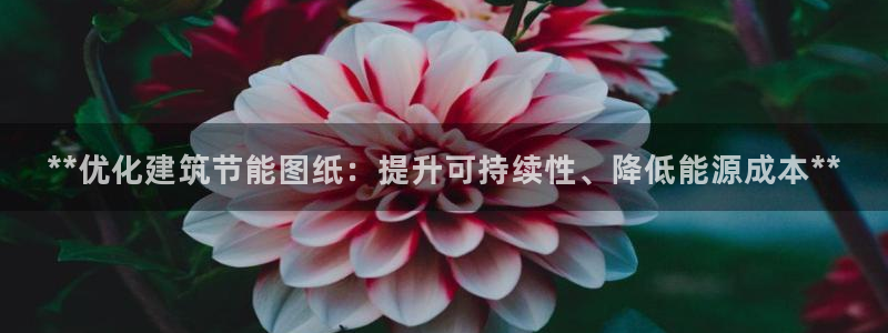 e尊国际客户端：**优化建筑节能图纸：提升可持续性、降低能源成本**