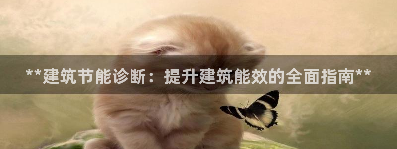 e尊国际官网·网址：**建筑节能诊断：提升建筑能效的全面指南**