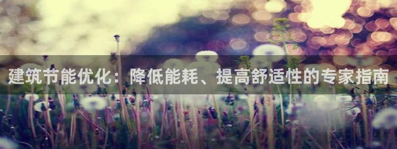 e尊国际的手机登录网站：建筑节能优化：降低能耗、提高舒适性的专家指南