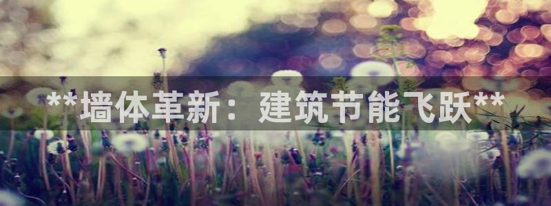 e尊平台：**墙体革新：建筑节能飞跃**